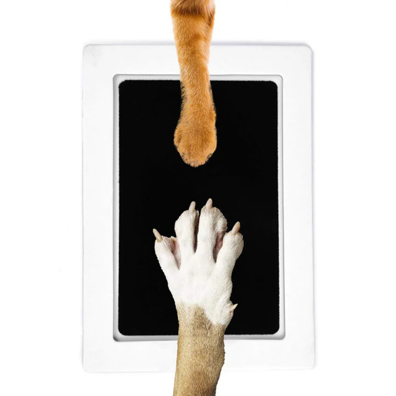 Cat Dog Paw Print Ink Kit Pad  - огляд і ціна Baby Clothing Wash