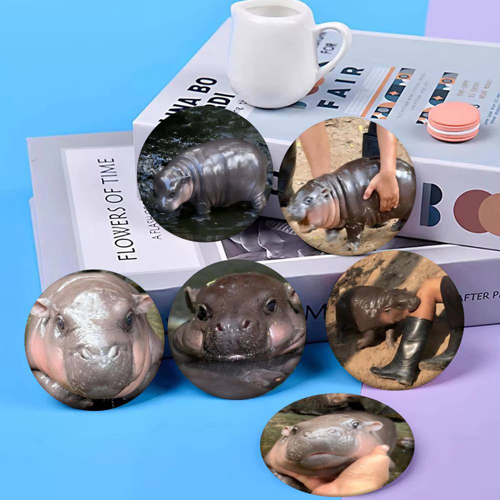Baby Hippo Moo Deng Badge Tinp - огляд і ціна Baby Clothing Japan